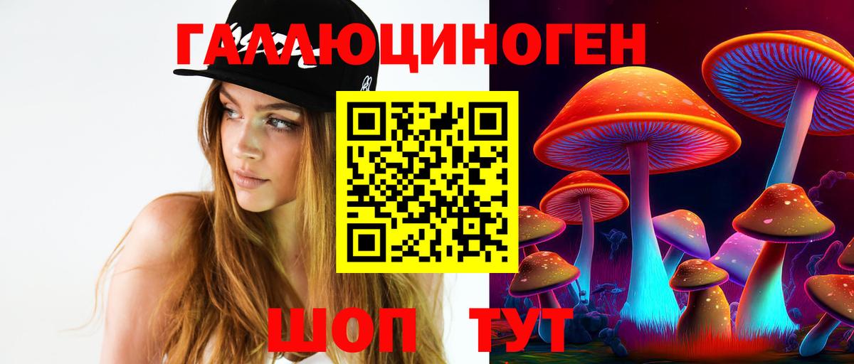 Псилоцибиновые грибы ЛСД  Вход с VPN  Черногорск 